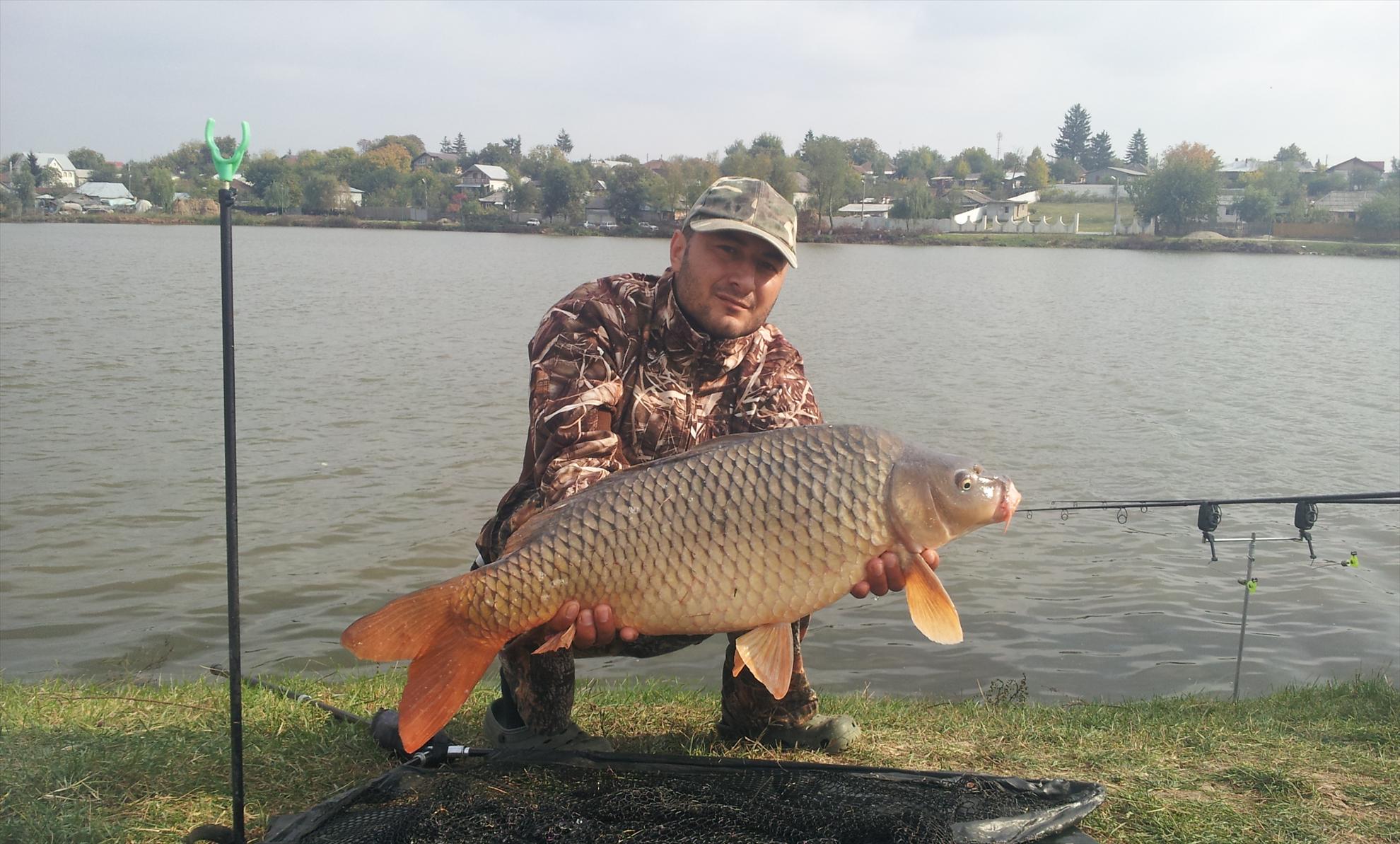 Moara Vlasiei - 20121021143855.jpg